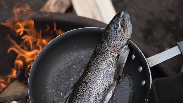 Fish in a frying pan