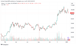 Bitcoin price on 1 year (TradingView)